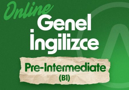 PRE-INTERMEDIATE ( B1 )-26 Kasım 2024 Hafta İçi Akşam