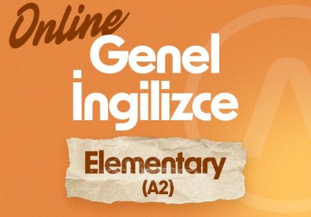 ELEMENTARY(A2) 24 ARALIK 2024 Hafta İçi Akşam