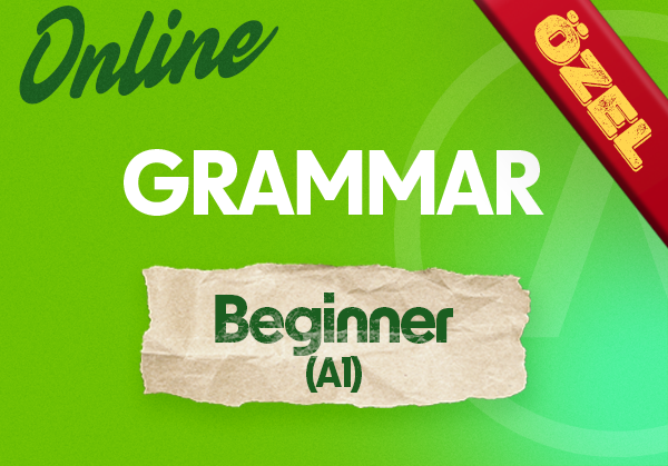 BEGINNER GRAMMAR (A1)-21 Temmuz 2025 Hafta İçi Akşam