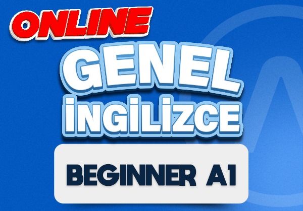 BEGINNER (A1)-19 Ekim 2026 Hafta İçi Akşam